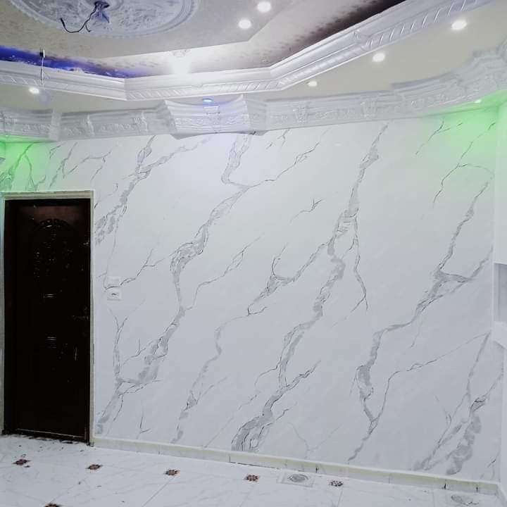 وحيد صقر الشاطر — صورة 4