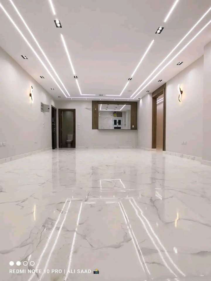 Alaa Ali — صورة 4