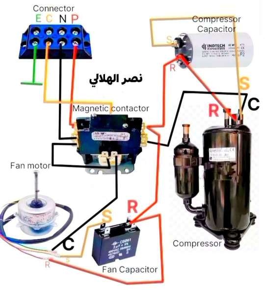 ايمن داود — صورة 2