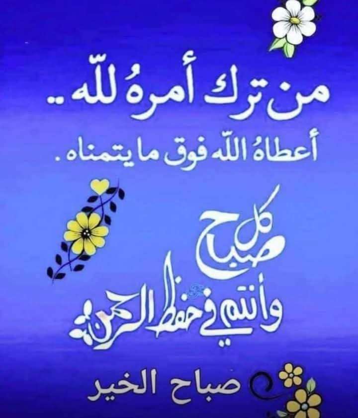 حاتم حامد حنفي — صورة 4