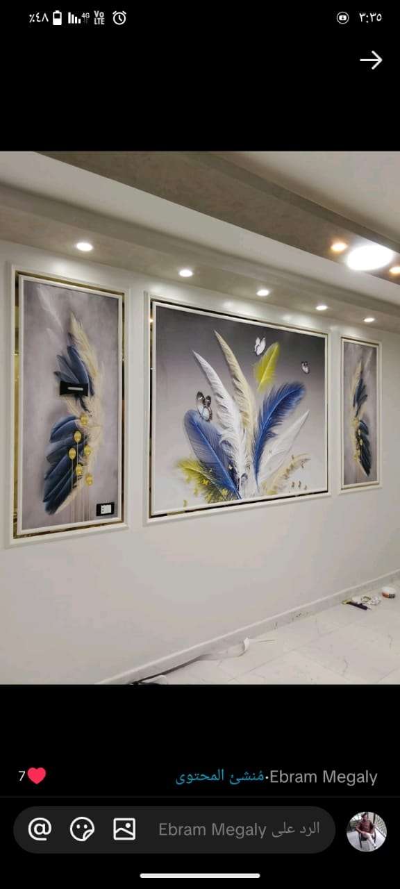 ابانوب سعيد — صورة 2