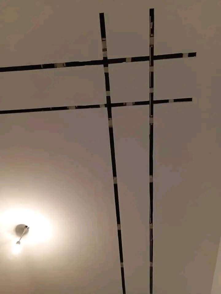 محمد شعبان — صورة 2