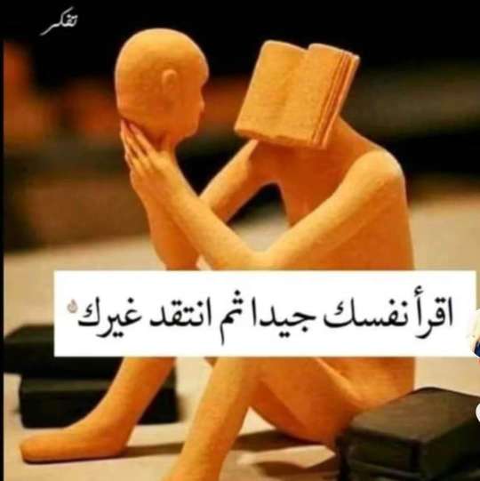 noura — photo 1