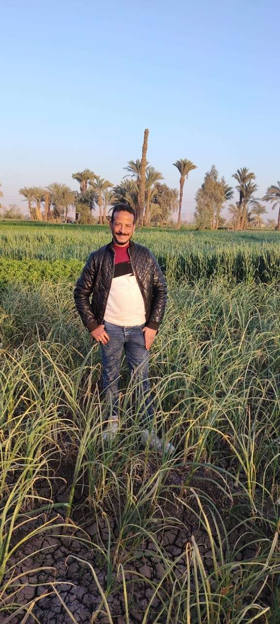 علاء السيد — صورة 4