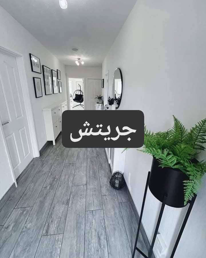 محمود مصطفى سالم — صورة 1