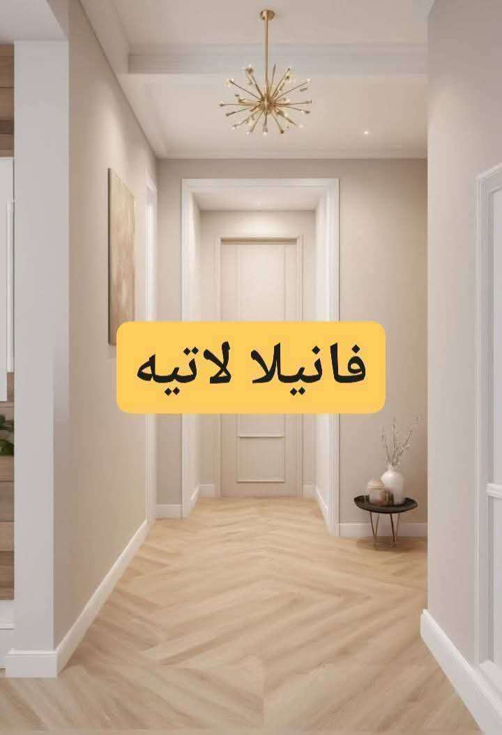 محمود مصطفى سالم — صورة 2