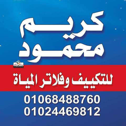 كريم محمود