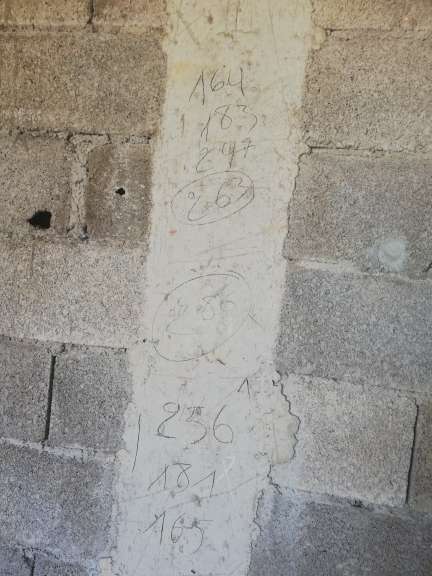 فضل الله — photo 1