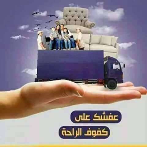 ربيع عبد المجيد — صورة 3