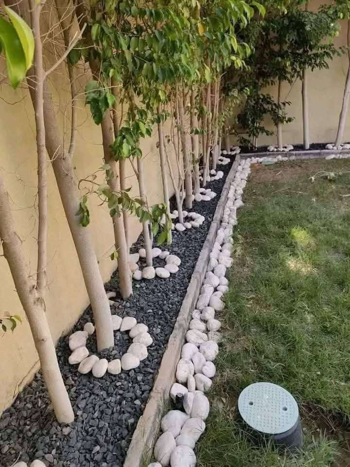ابراهيم حمدي — صورة 2