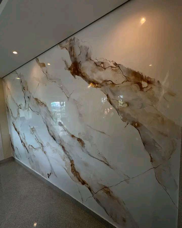 تامر الهوارى — صورة 2