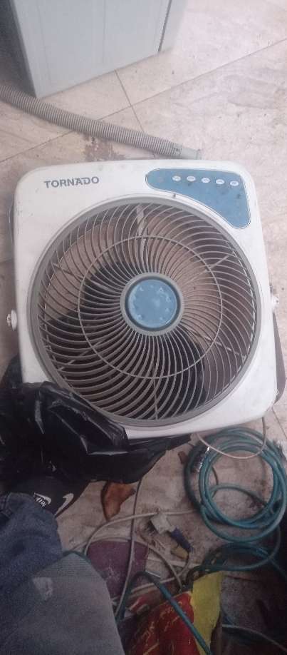 عادل عبد الفتاح — صورة 4