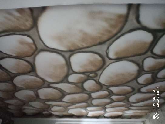 محمود شريف — صورة 3