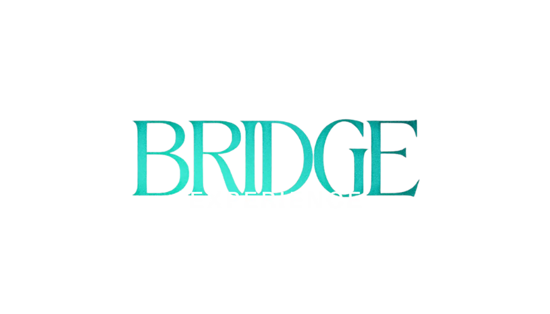 Bridge Experience