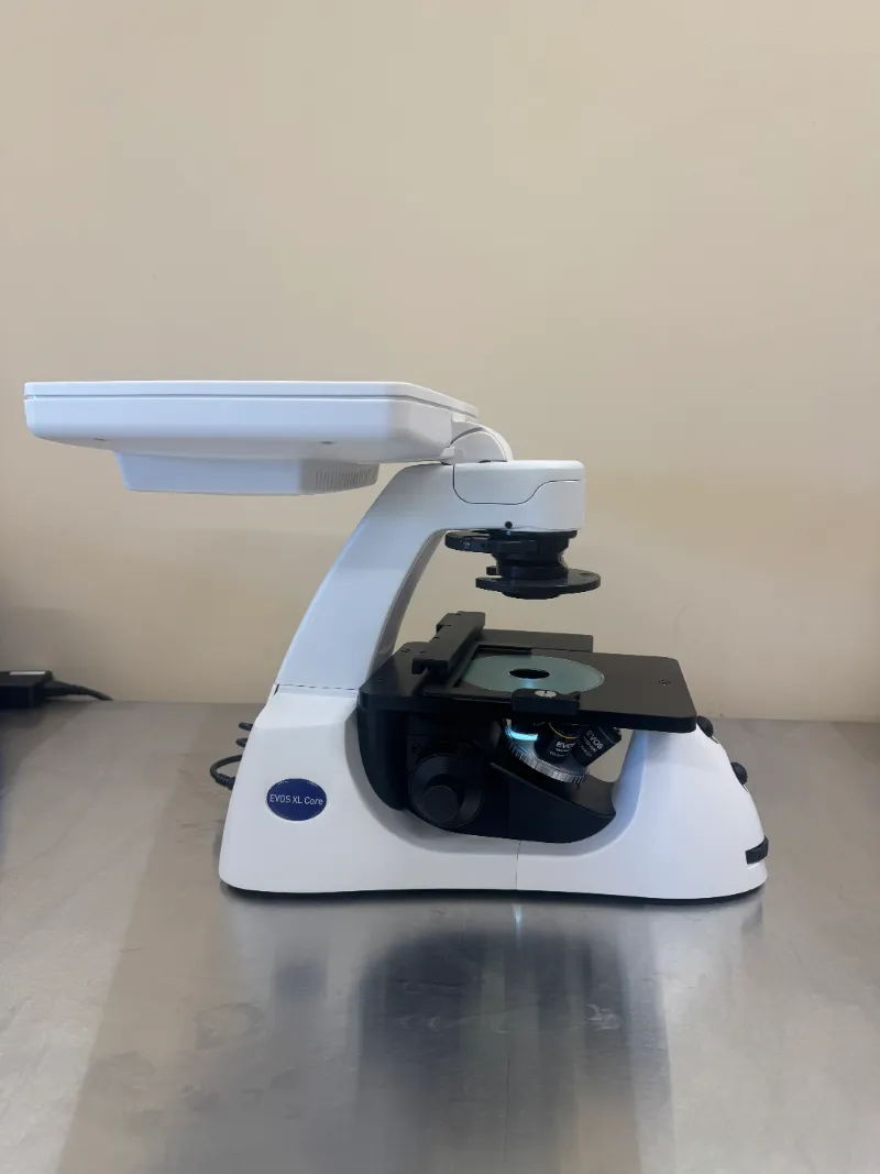Thermo Scientific AMEX1200 EVOS XL Core Inverted Phase Contrast Microscope with 'Built-in' Camera and Monitor thumbnail 5