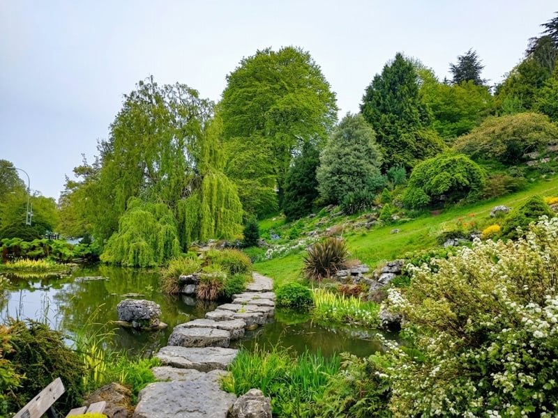 The Rockery