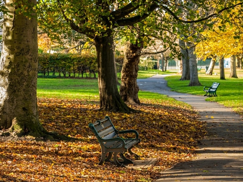 St Ann's Well Gardens