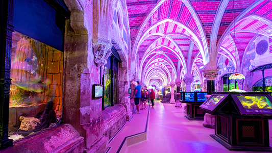 Sea Life Centre