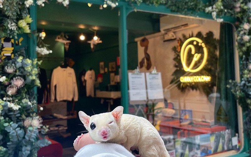 Cuddly Colony