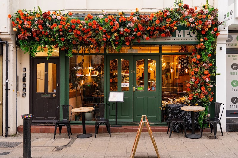 MEO Brighton