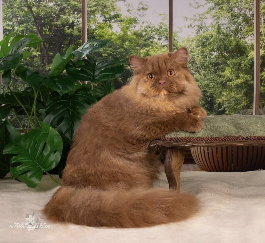 Foto de Zhannet Berlizof*RU of del Milenium 1