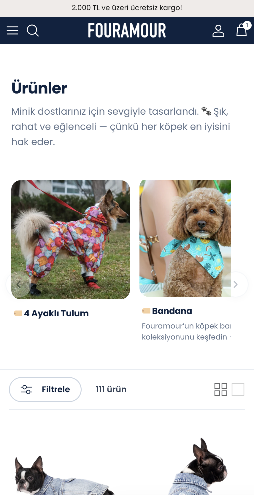 site-preview-2
