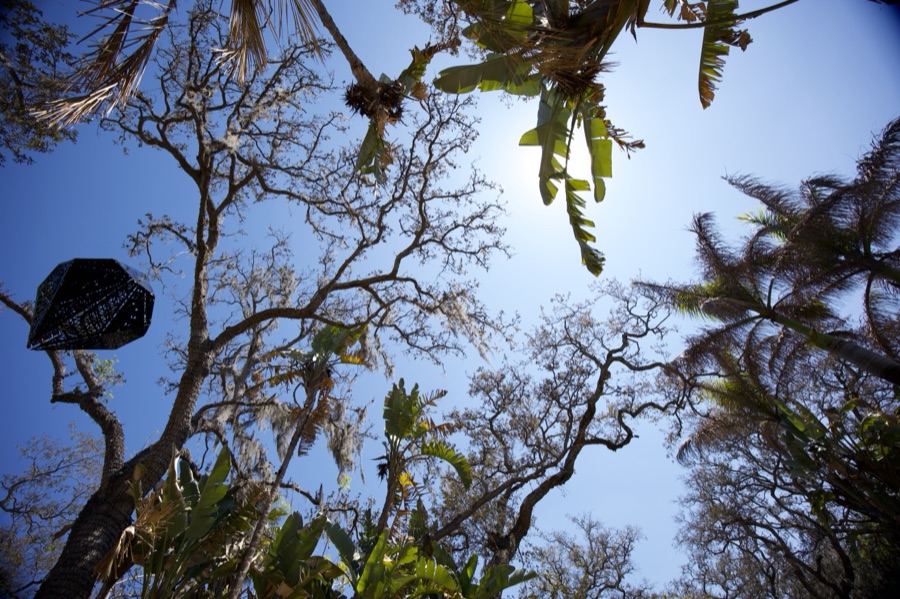 Florida Wild, photo 5