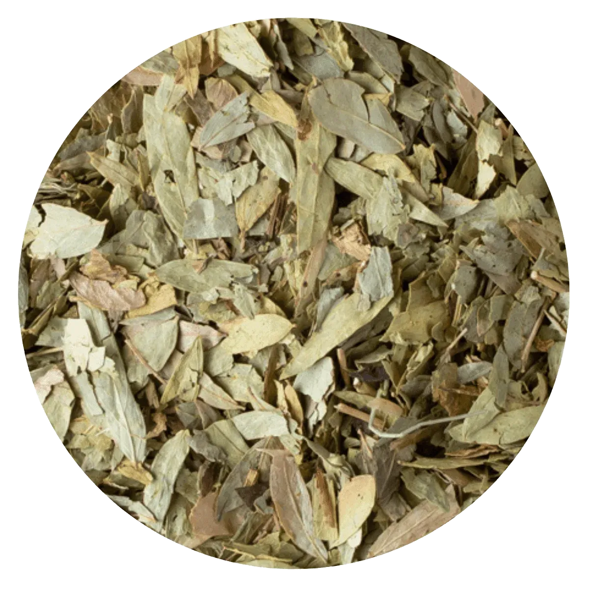 SEN HOJA — Brota Almacén Natural Pergamino