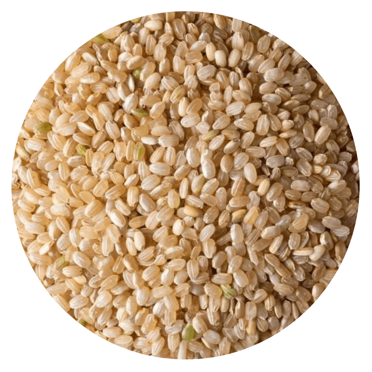 ARROZ YAMANI INTEGRAL — Brota Almacén Natural Pergamino