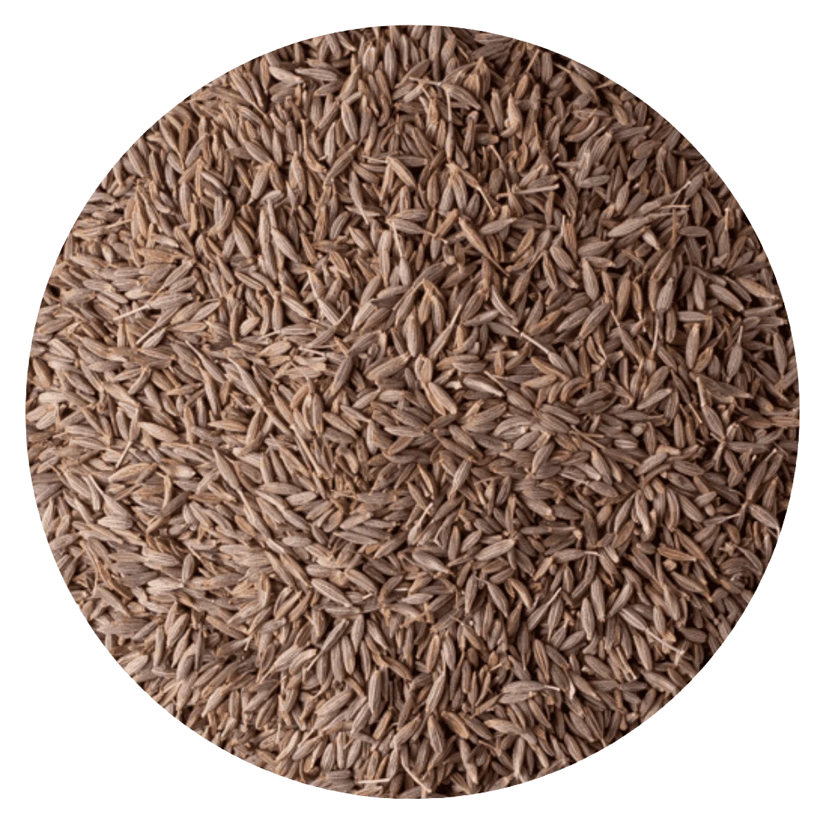 COMINO EN GRANO — Brota Almacén Natural Pergamino