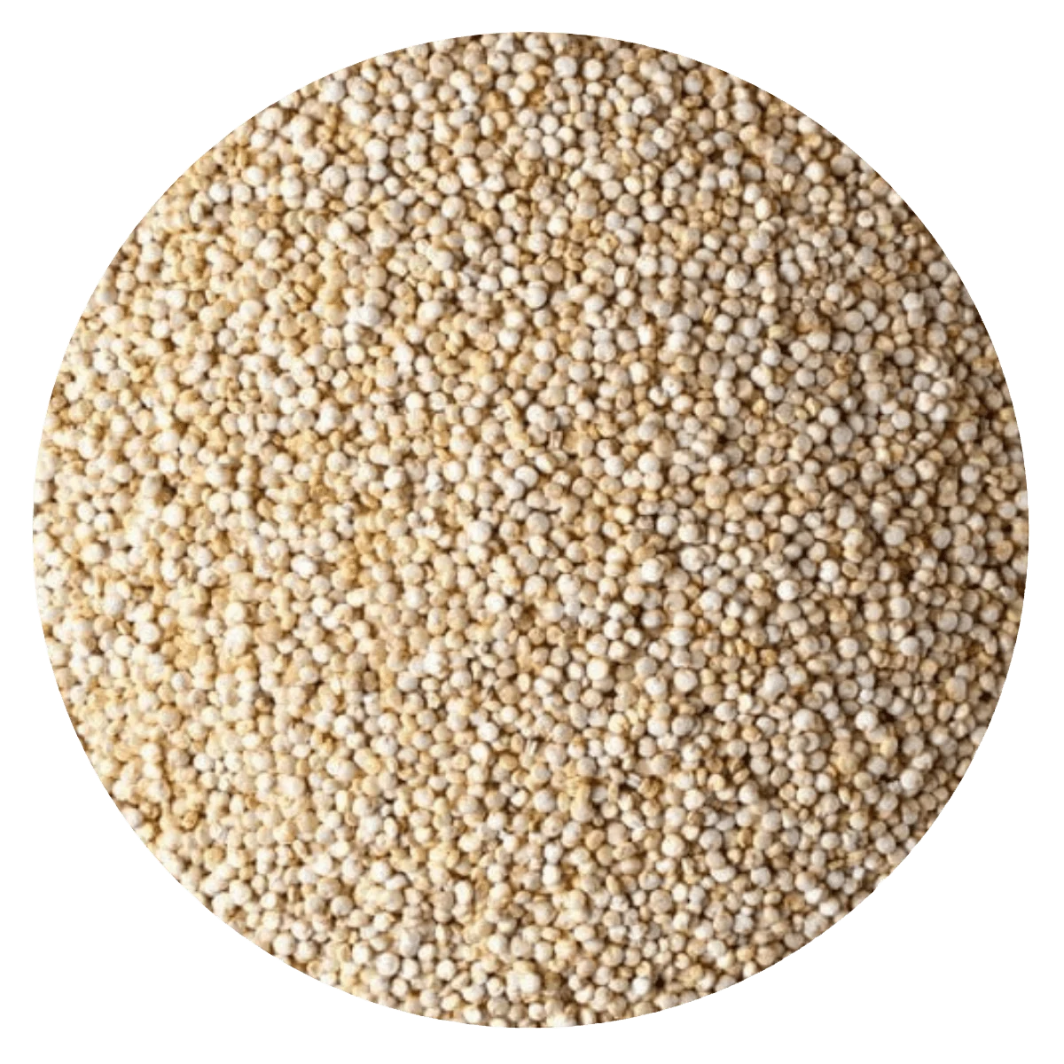 QUINOA — Brota Almacén Natural Pergamino