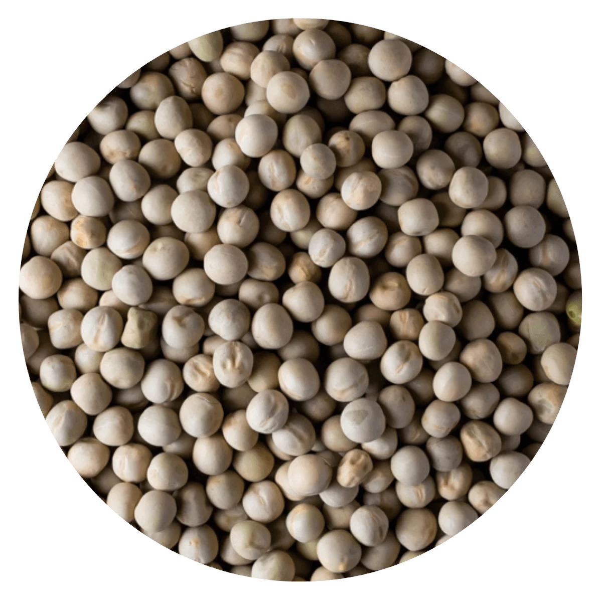 ARVEJA ENTERA — Brota Almacén Natural Pergamino