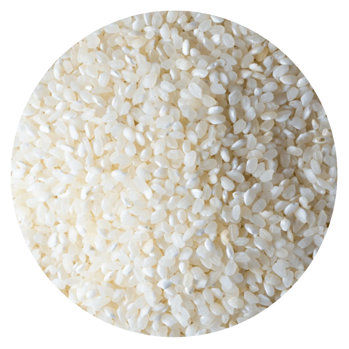 ARROZ KOSHIHIKARI SUSHI — Brota Almacén Natural Pergamino