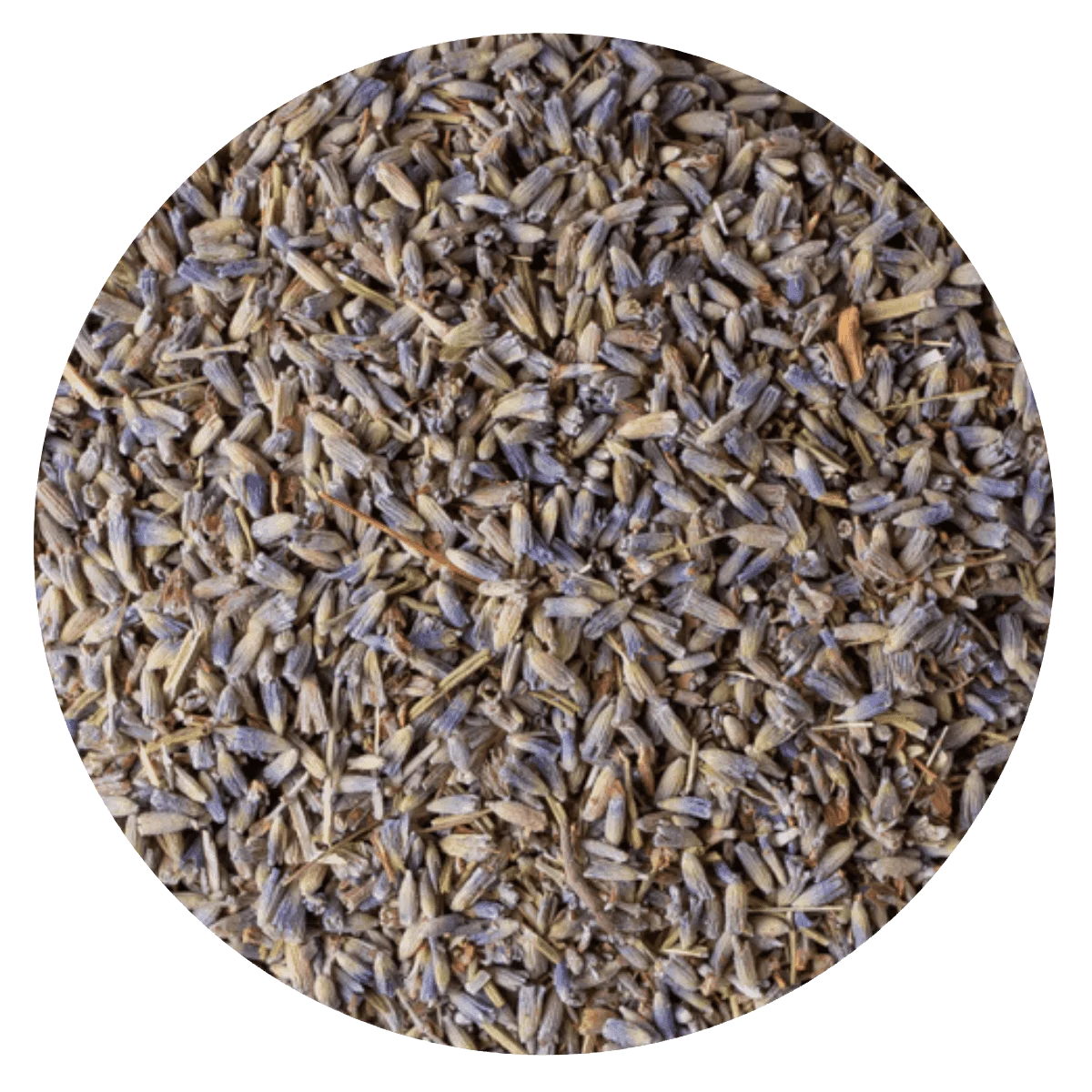 LAVANDA — Brota Almacén Natural Pergamino