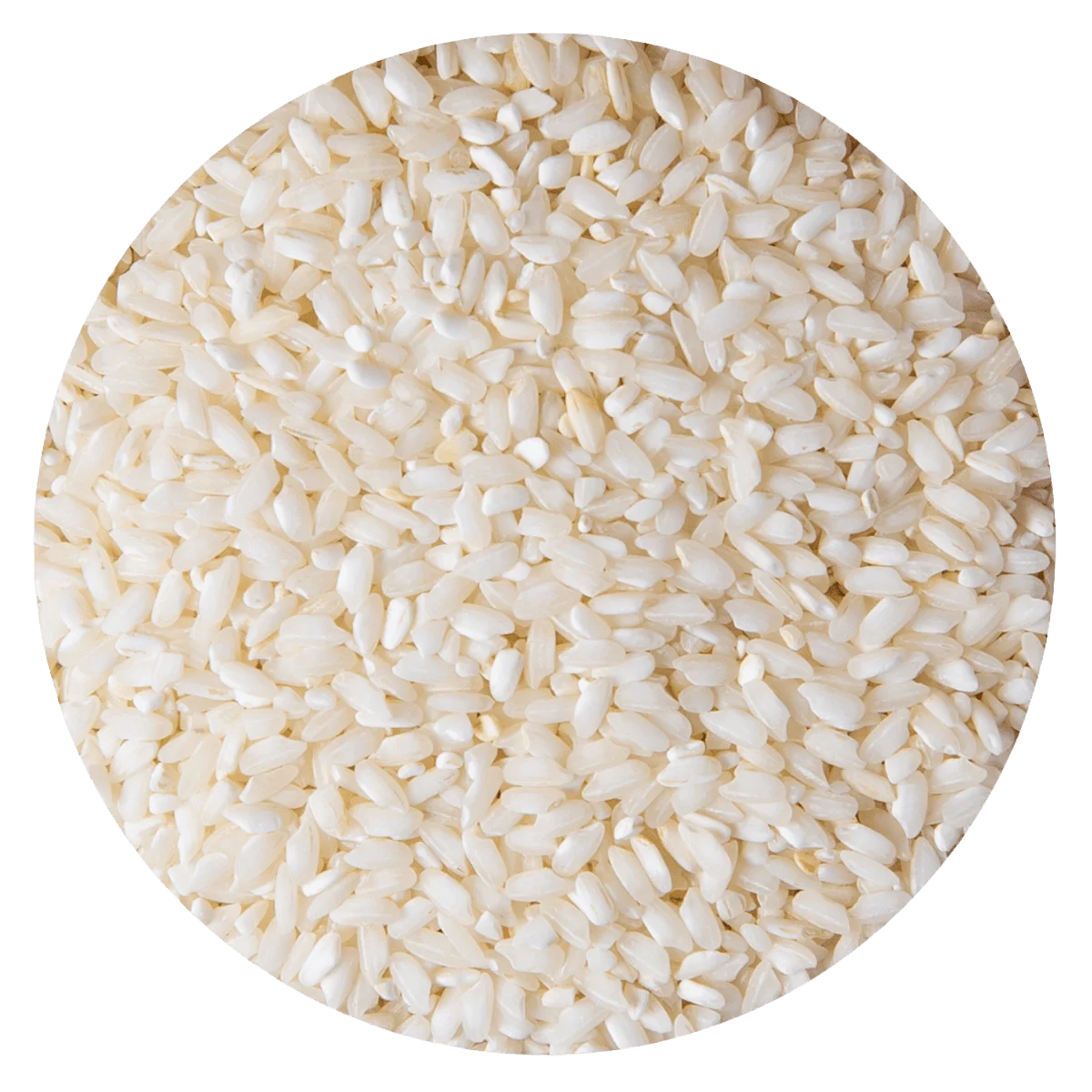 ARROZ CARNAROLI RISOTTO — Brota Almacén Natural Pergamino