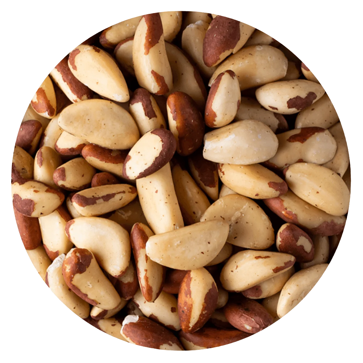 CASTAÑAS DE PARA  — Brota Almacén Natural Pergamino