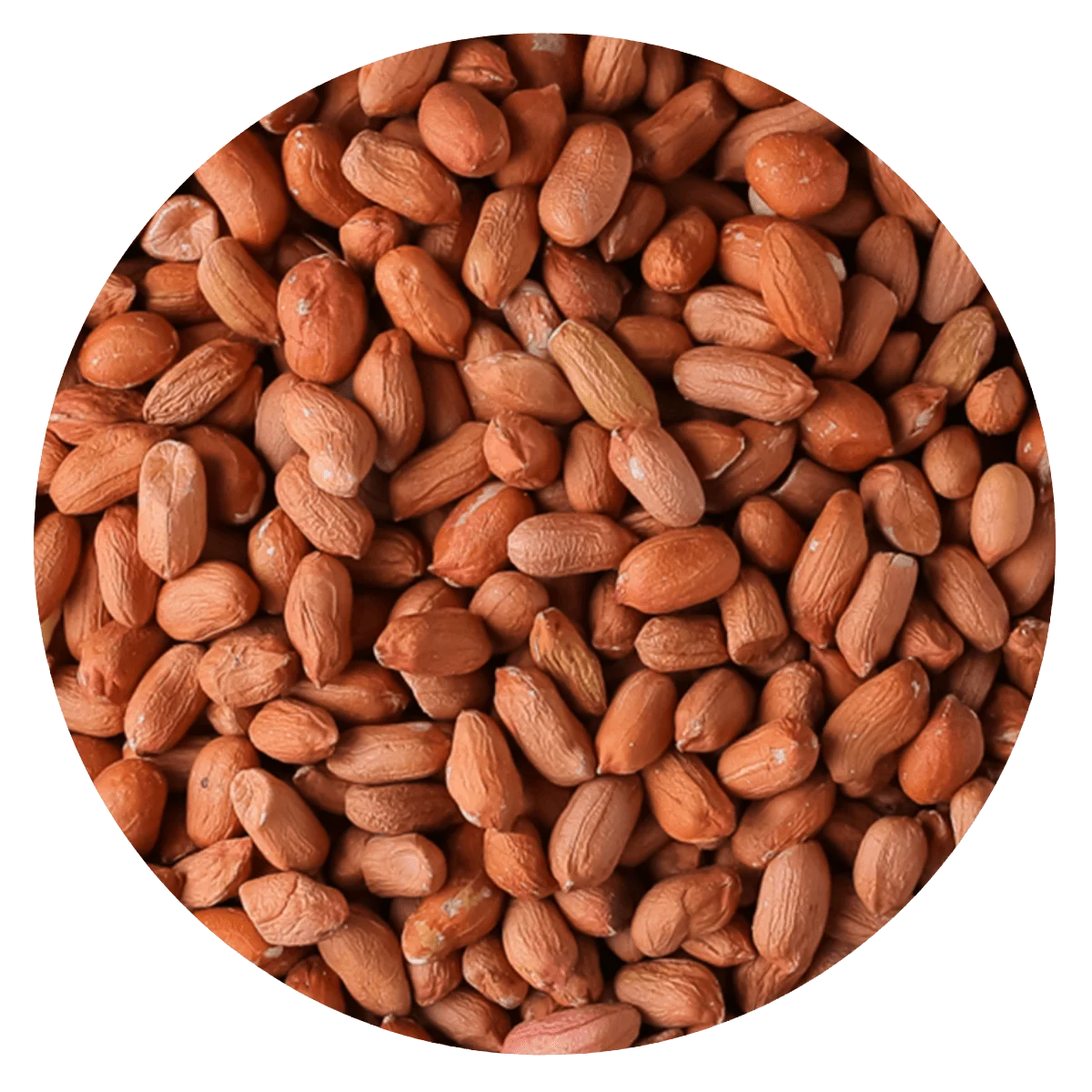 MANI CRUDO  — Brota Almacén Natural Pergamino