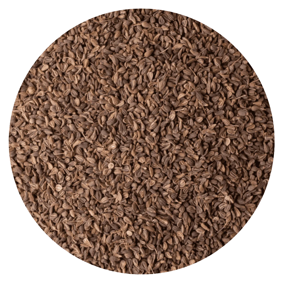 ANIS EN GRANO  — Brota Almacén Natural Pergamino