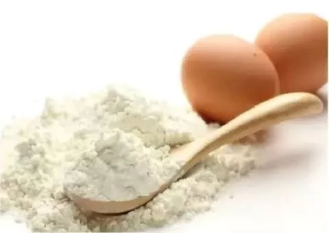 CLARA DE HUEVO EN POLVO A GRANEL — Brota Almacén Natural Pergamino