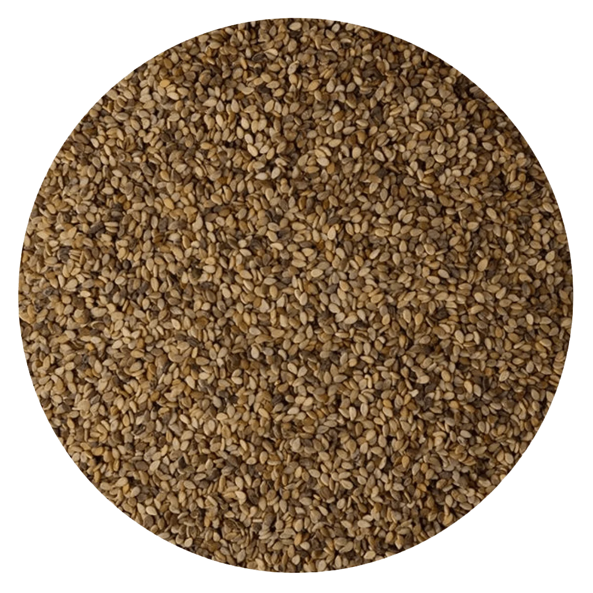 SESAMO INTEGRAL — Brota Almacén Natural Pergamino