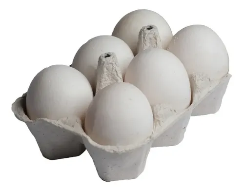 HUEVOS BLANCO 1/2 DOCENA N2 — Brota Almacén Natural Pergamino
