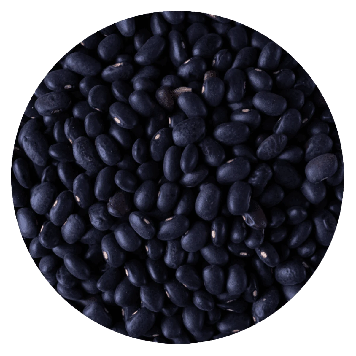 POROTO NEGRO  — Brota Almacén Natural Pergamino