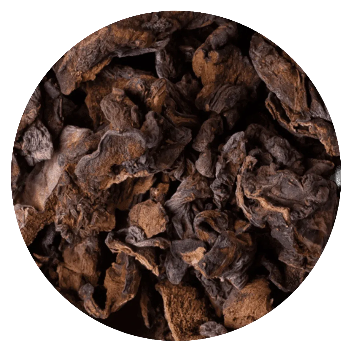 HONGO DE PINO — Brota Almacén Natural Pergamino
