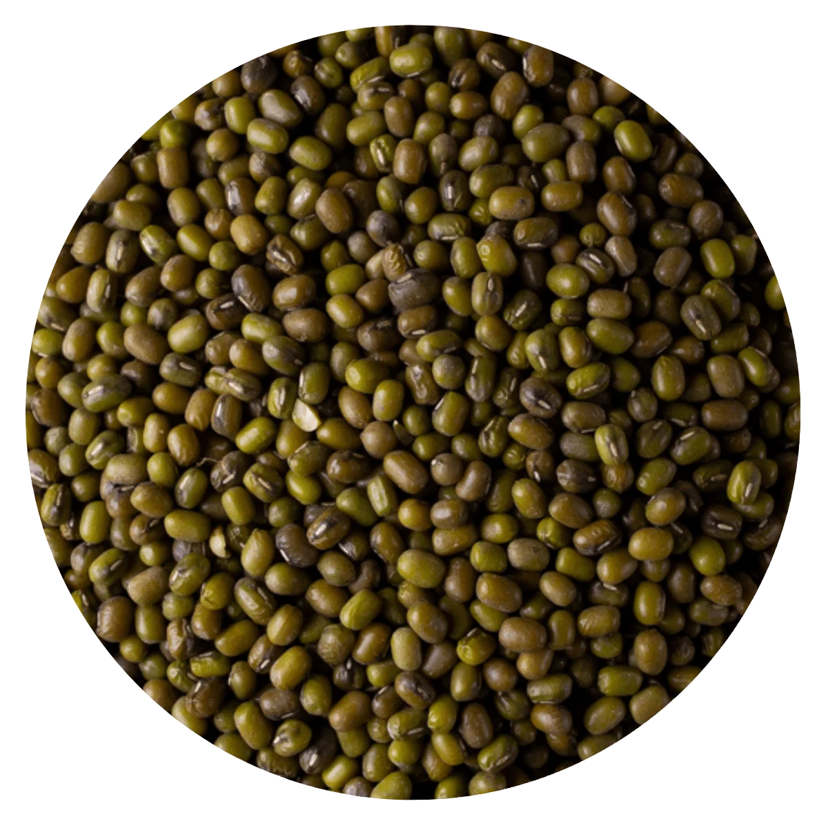 POROTO MUNG  — Brota Almacén Natural Pergamino