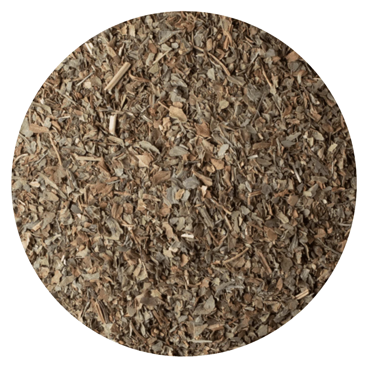 ALBAHACA  — Brota Almacén Natural Pergamino