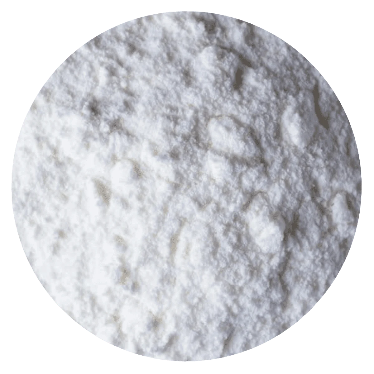 LECHE DE COCO EN POLVO — Brota Almacén Natural Pergamino