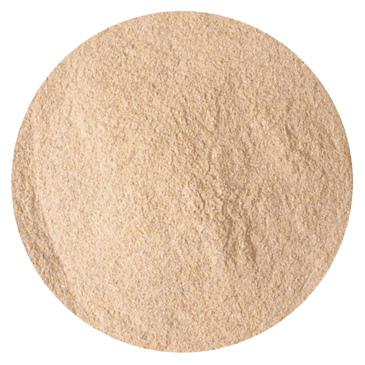 AJO EN POLVO PREMIUM — Brota Almacén Natural Pergamino