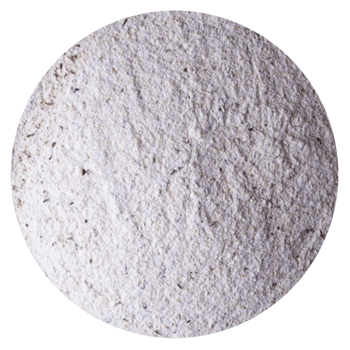 HARINA DE TRIGO SARRACENO INTEGRAL — Brota Almacén Natural Pergamino