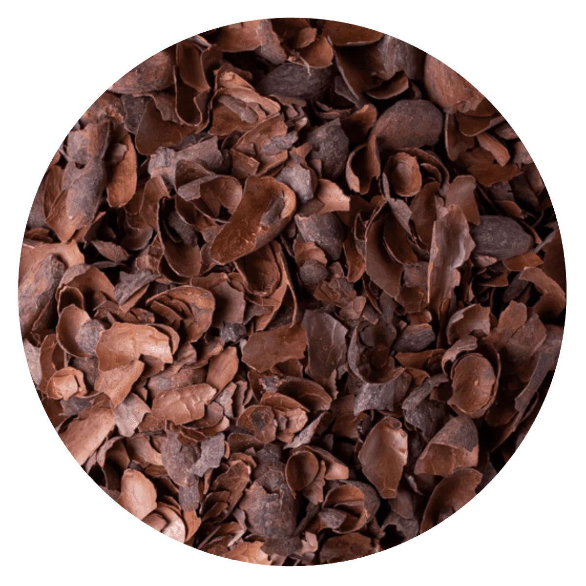 CASCARILLA DE CACAO — Brota Almacén Natural Pergamino