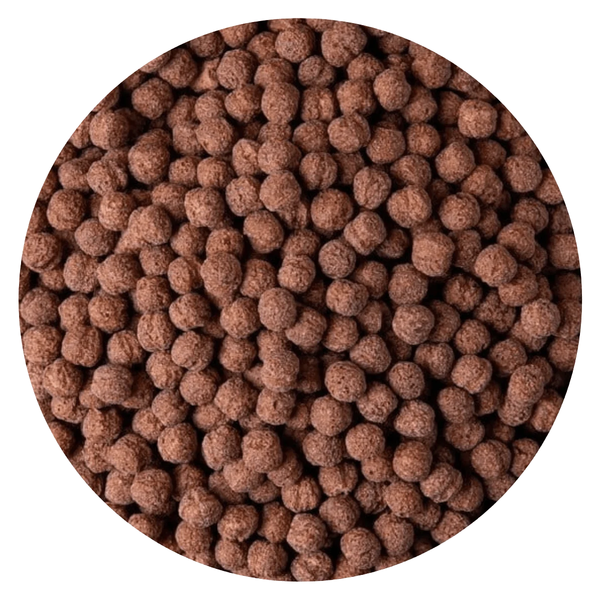BOLITAS DE CHOCOLATE — Brota Almacén Natural Pergamino